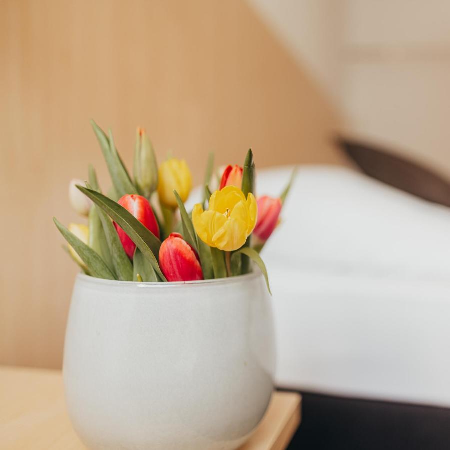 Gutsschaenke Holsterfeld Hotel Залцберген Екстериор снимка